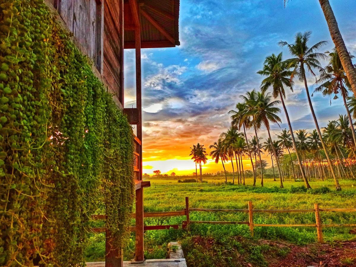 Sunset Homestay By Harry & Mimin Telaga Kültér fotó